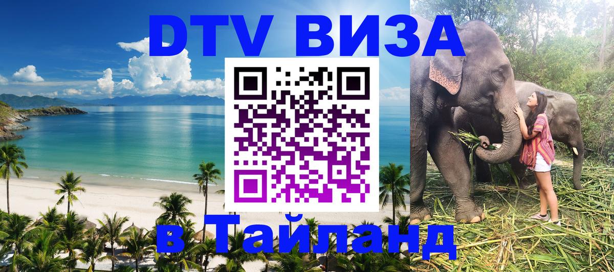 Оформление DTV визы под ключ: стоимость и тарифы, только загранпаспорт - Сургут 